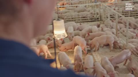 “Are restaurants starting to taste the same?”