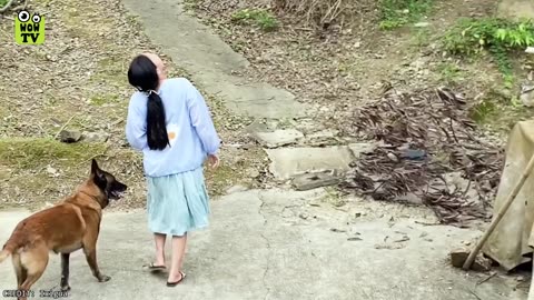 Viral: 35 Hero Animals That Saved Human Lives !