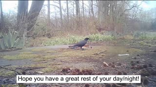 EA 70 - Unintentional Hurt Feelings