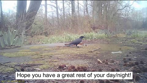 EA 70 - Unintentional Hurt Feelings