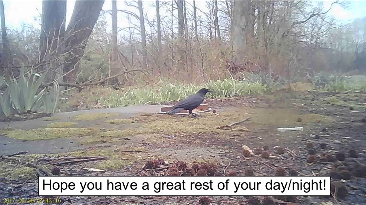 EA 70 - Unintentional Hurt Feelings