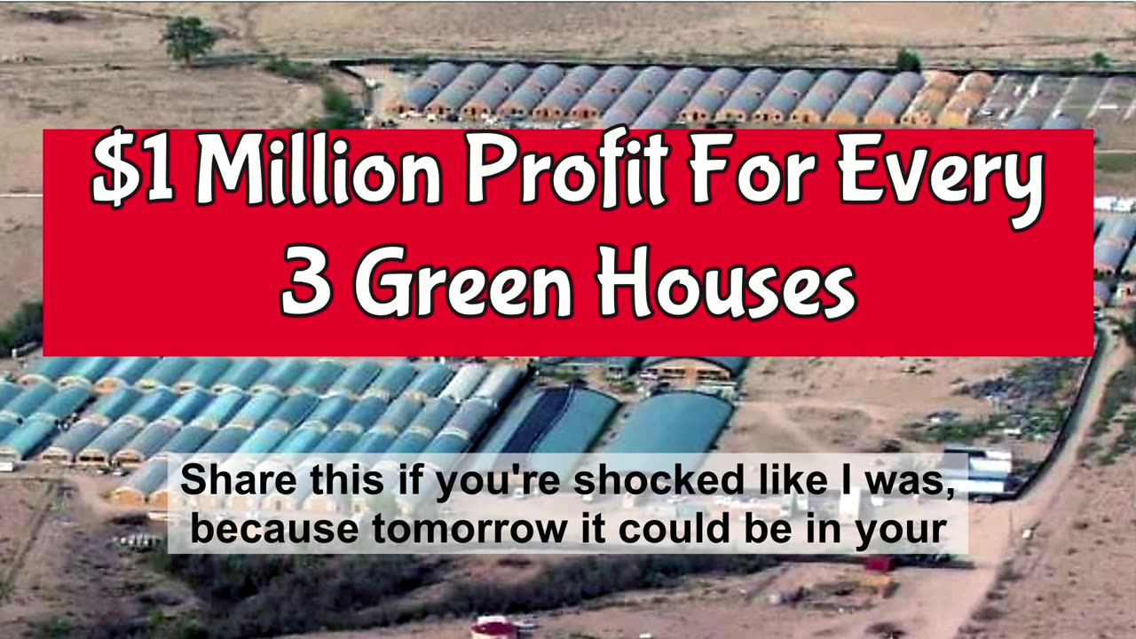 Chinese-Operated Marijuana Farms and CCP Ties Revealed