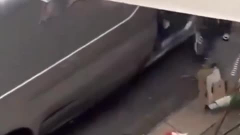 Fake Islamic asylum seeker with machete hunting innocent Germans. Only AfD can