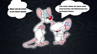 Pinky and the Brain