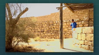 Standing Where Abraham Planted A Tree 3,500 Years Ago