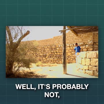 Standing Where Abraham Planted A Tree 3,500 Years Ago