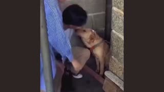 Cats Secretly Filmed at Night — What They Really Do 😂🌙