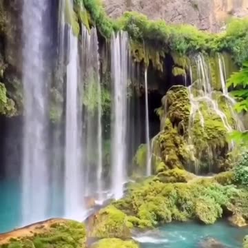 Nature editing video for all of you guys