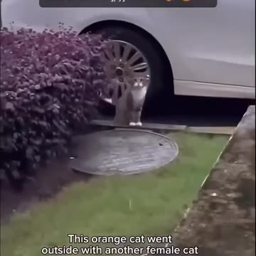 High cost of infidelity 😂