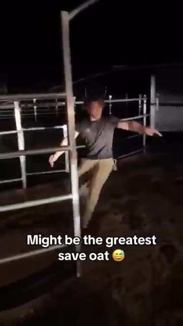 Might be the greatest save oat #memes