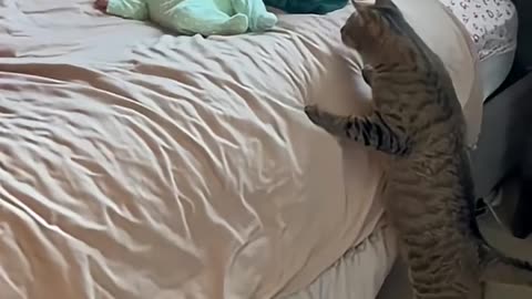 Cute
