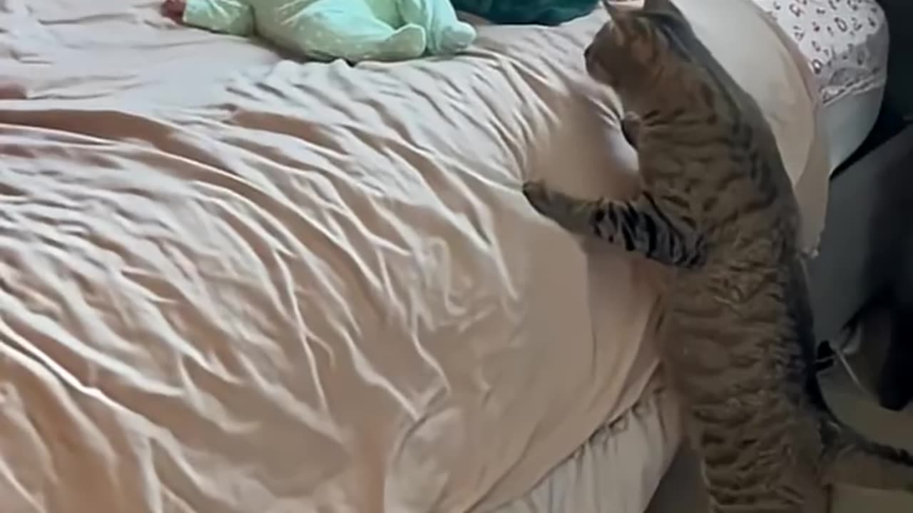Cute