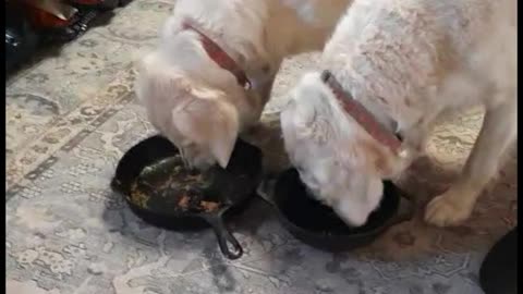 Maytag & Junebug Perform KP