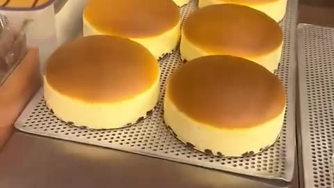 Cute japanese cheesecake