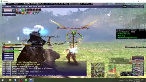 Playing Final Fantasy XI Online