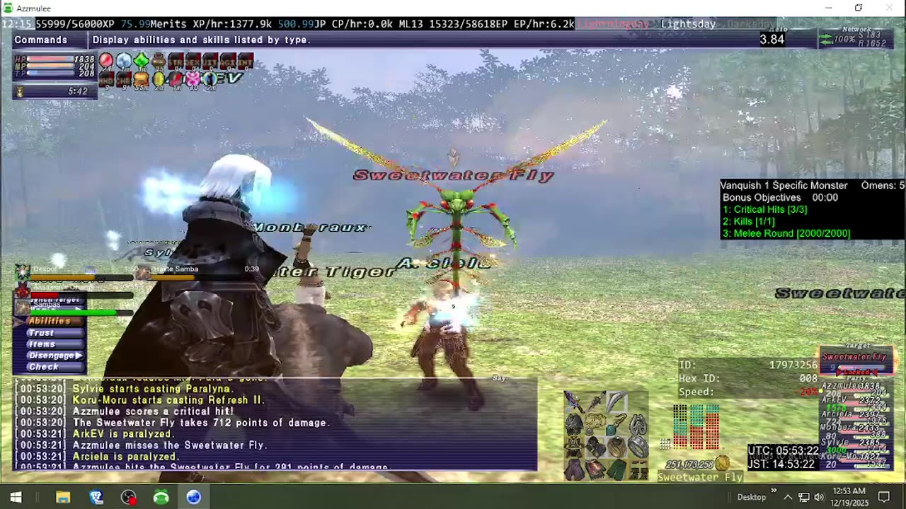 Playing Final Fantasy XI Online