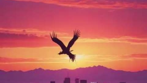 Justice for Everyone