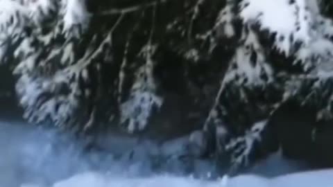 OopsTV Viral Shorts Ep4