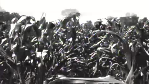 [FORD TRACTOR] - [FORD TRACTOR] - fc-fc-1581