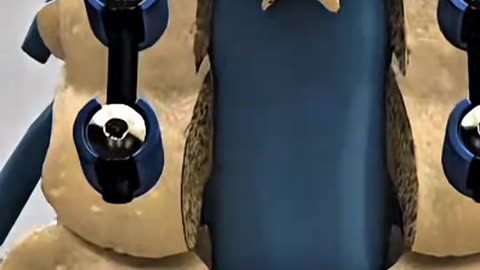 Neck Decompression Surgery - Relieve Pressure & Eliminate Chronic Neck Pain