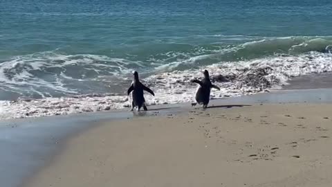 Me on the first day of every winter vacation down south