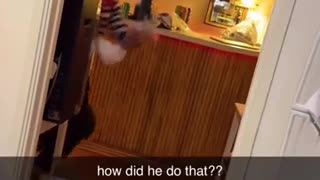 🤡🏠 Hilarious Mime Roommate Antics | FunFM
