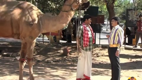 || Episode 172 [ 4K ]. ఒంటె కోతి ఓ ఇంటి ఓనరు - 2 || #appaji #anji #saravam #amrutham