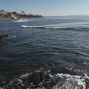 Epic Bird Rock Pelican Flyby #nature #birds