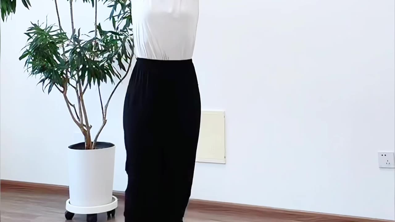 1250.2026飛馬奔騰