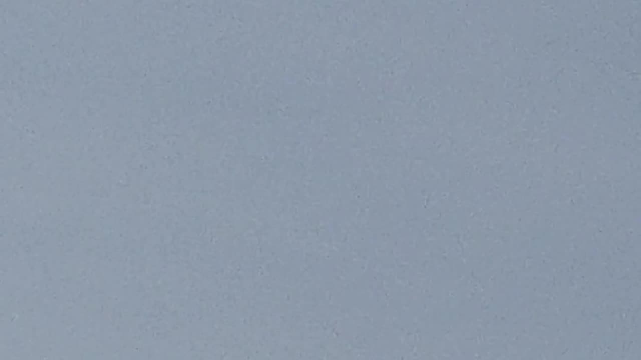 🛸🏞️ Unidentified Object Spotted Over Toronto Park! | TheTruthAbove