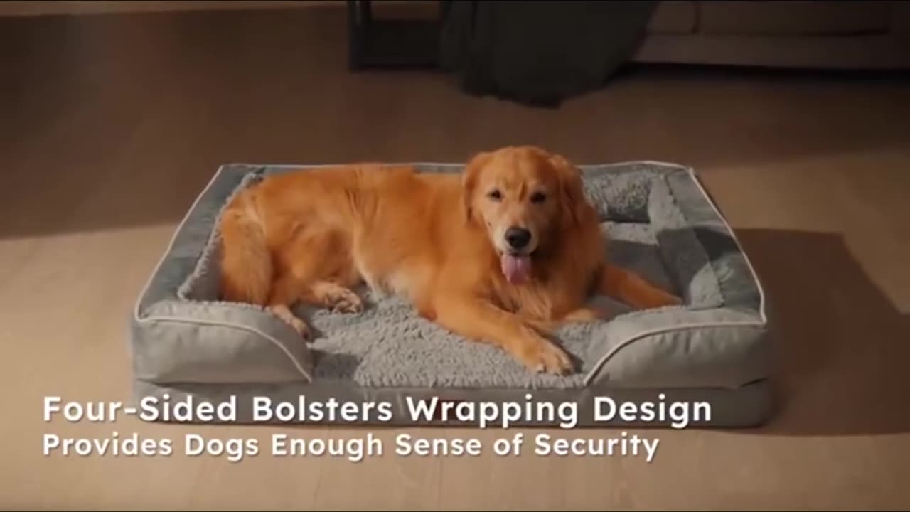 Large Dog Bed