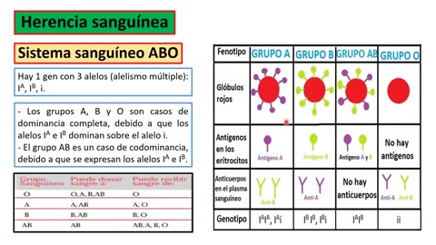 ADC SEMESTRAL PARALELO 2025 | Semana 11 | Biología