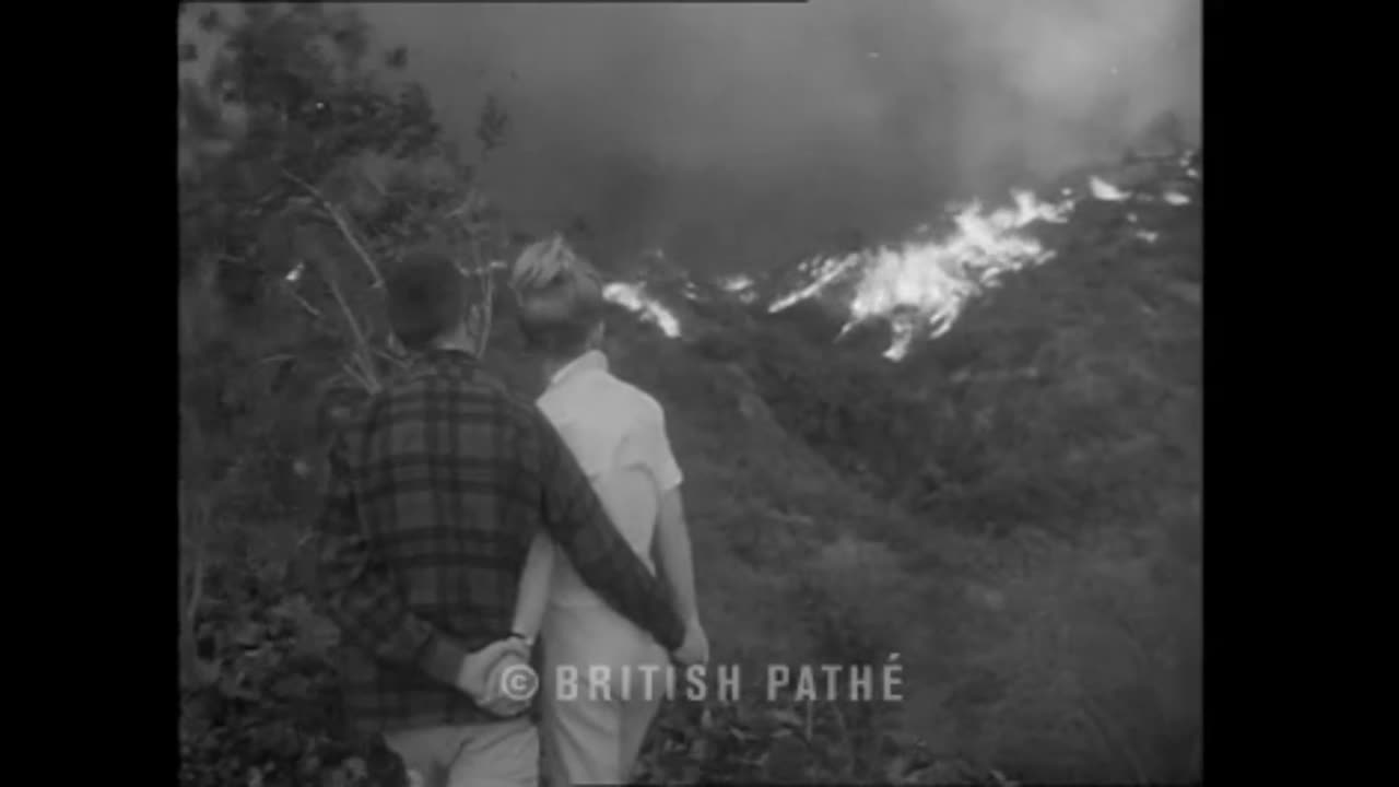 HOMES BURN IN LOS ANGELES FIRE (1964)