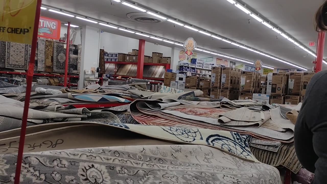 What Is Ollie's Like?