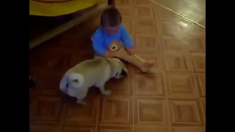 Funny cat and babies