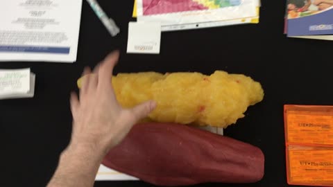 5lbs Fat vs 5lbs Muscle + Smoker Lungs (Houston Airport)