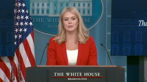 Press Sec Leavitt GOES OFF on liberal media over Dan Bongino appointment.