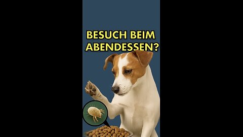 Trockenfutter einfrieren, um die Futtermilben zu töten?