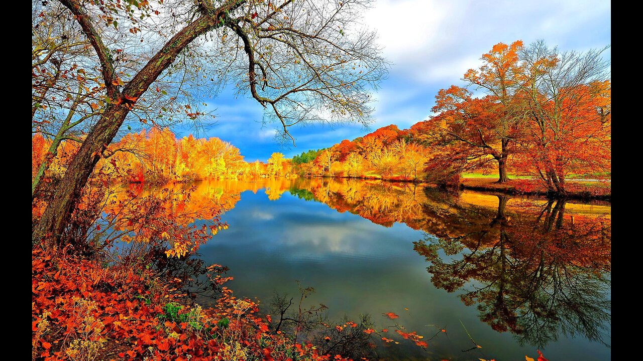Live Free Celebrate Recovery Large Group Meeting, October 5, 2025