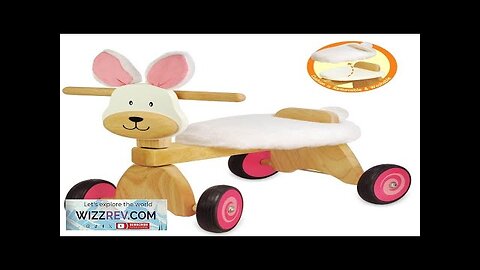 I'm Toy Paddie Rider Bunny Review