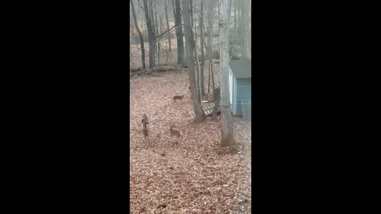 Живая природа