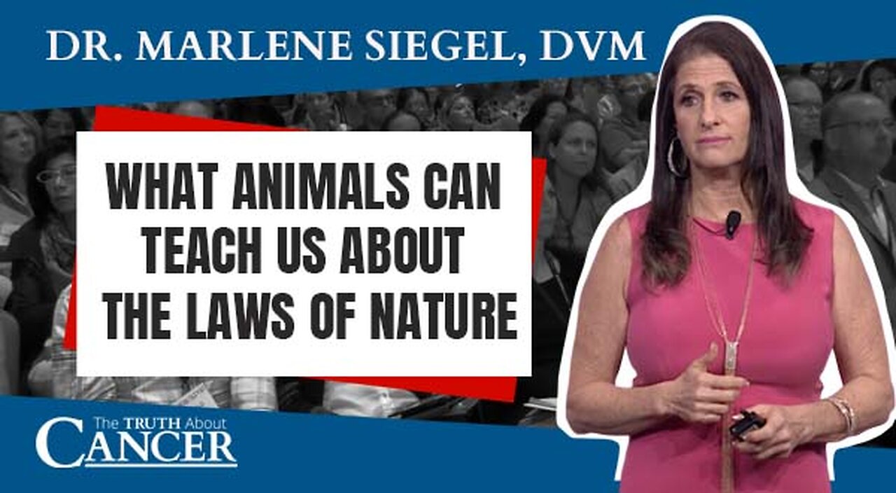 What Animals Can Teach Us About the Laws of Nature