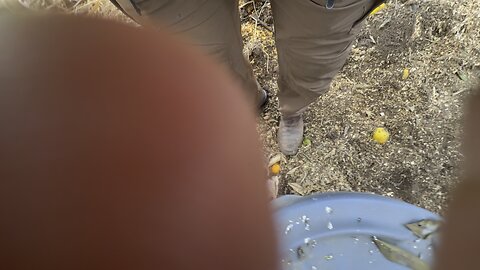 Mickey mouse lives here! Sometimes! 😆