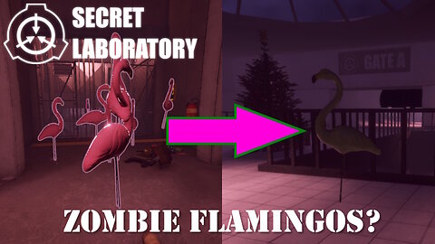 Zombie Flamingos?! - SCP: Secret Laboratory