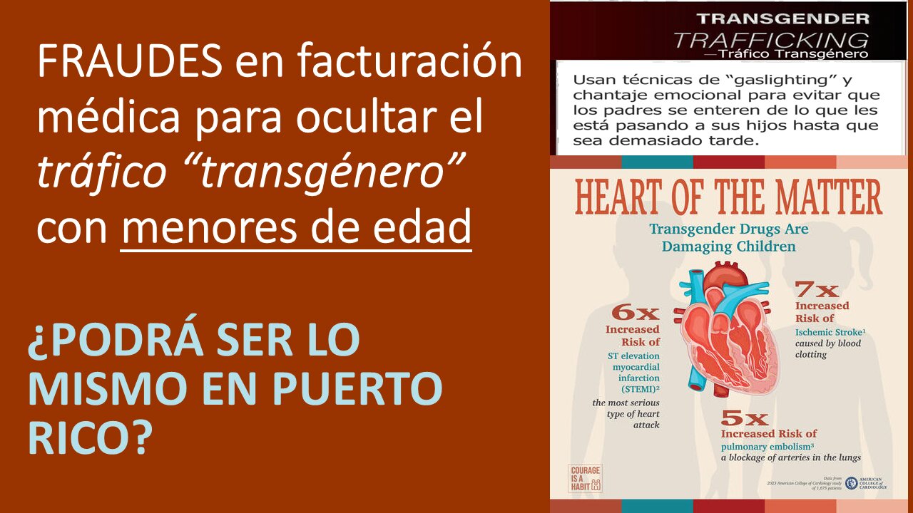 PARTE 2 | Tráfico "Trans" y Jungla Digital