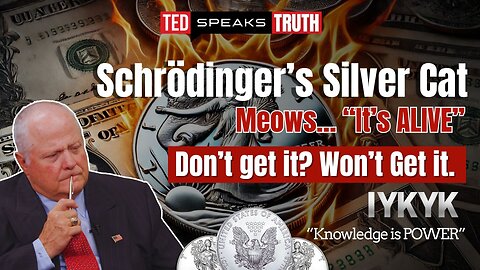 Schrodinger’s Silver Cat Meows… “It’s ALIVE” Don’t get it? Won’t Get it. ~I Y K Y K ~