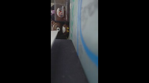 2025-11-20 蘇南佩卻小金魚桑傑年巴