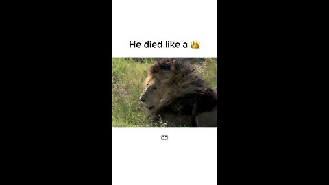 😢