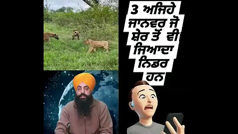 3ਅਜਿਹੇ ਜਾਨਵਰ ਜੋ ਸ਼ੇਰ ਤੋਂ ਵੀ ਜਿਆਦਾ ਨਿਡਰ ਹਨ