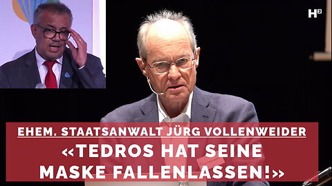 " W.H.O. : DIE AUSHEBELUNG RECHTSSTAATLICHER STRUKTUREN AM BEISPIEL DER I.G.V. " - Jürg Vollenweider